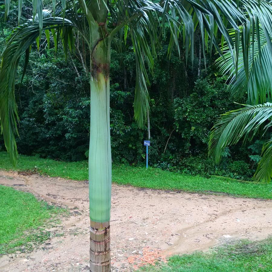 Suítes Ubatuba Praia da Lagoinha Exterior foto